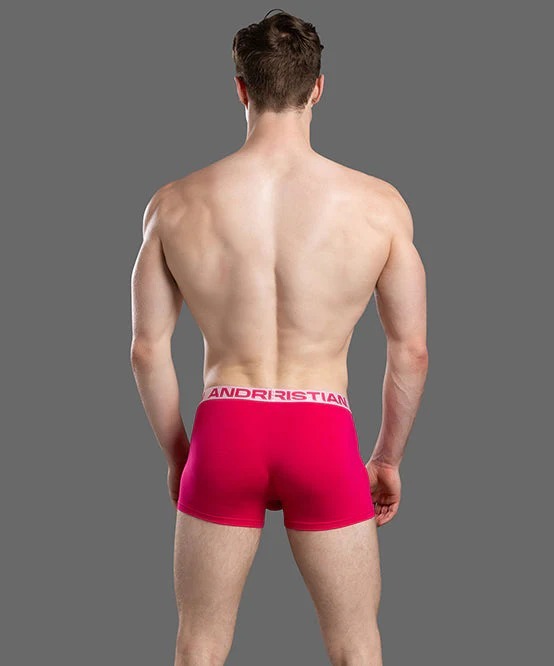 imgi_101_93816Boxer04