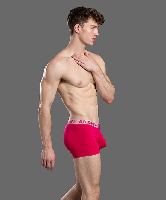 imgi_100_93816Boxer03