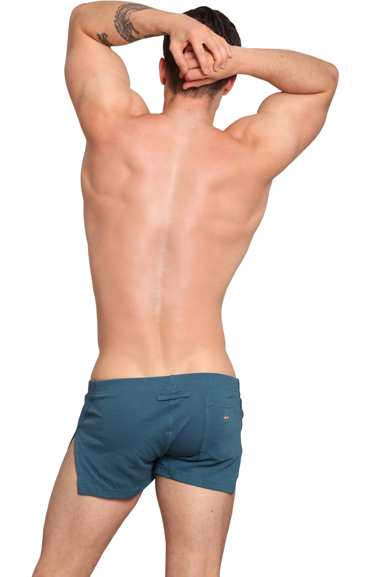 imgi_127_Hansarshortscobaltback
