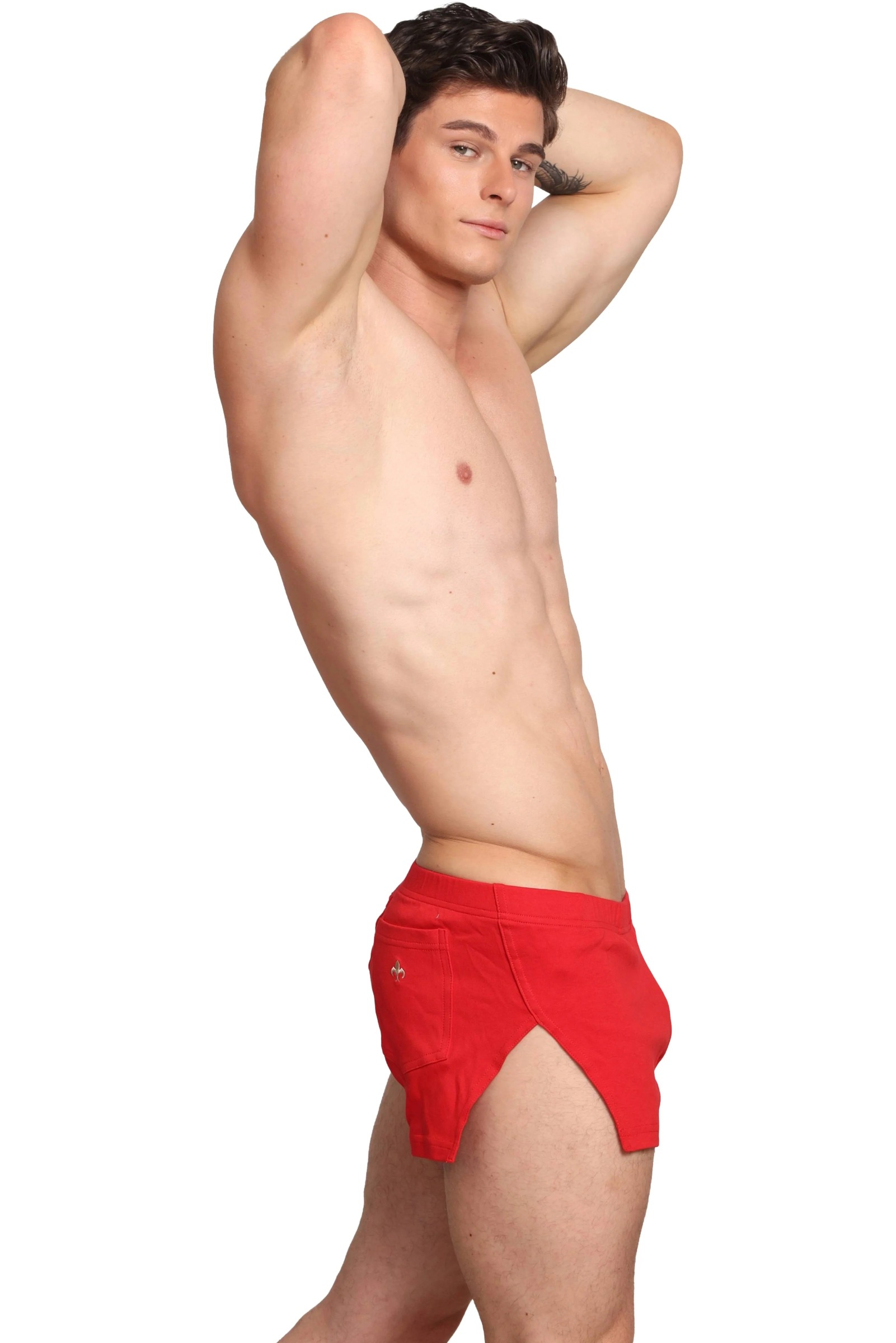 imgi_117_Hansarshortsredside2