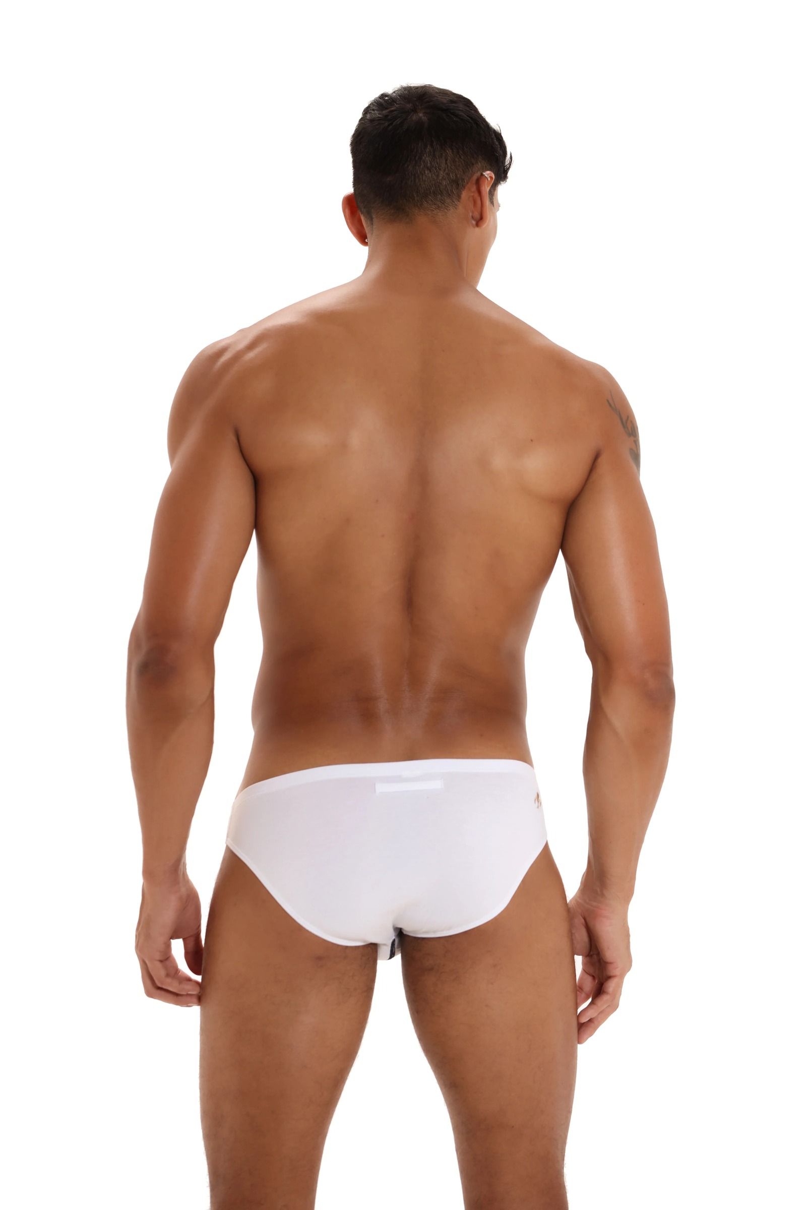 imgi_137_Hesterbriefwhiteback