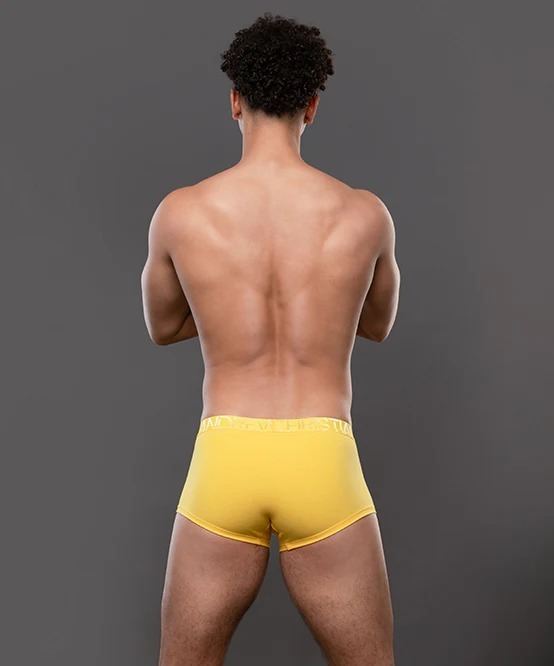 imgi_34_93731Boxer-Yellow05