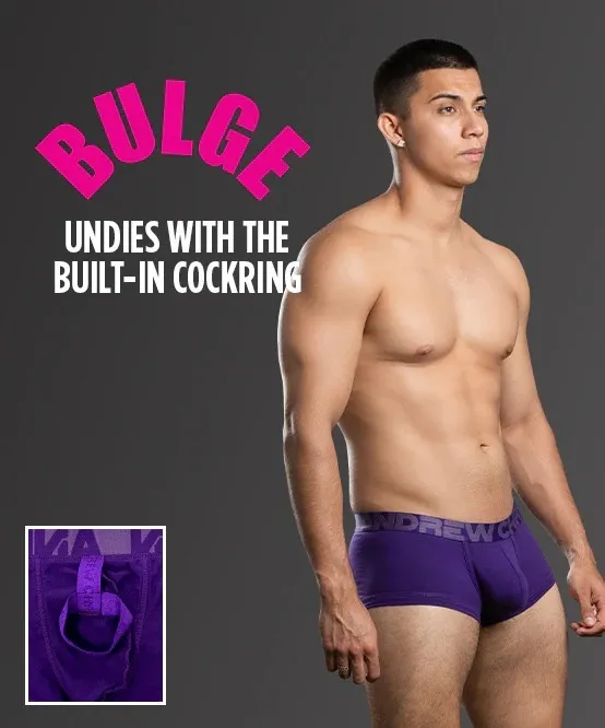 imgi_31_93752Boxer-Purple02_BULGE