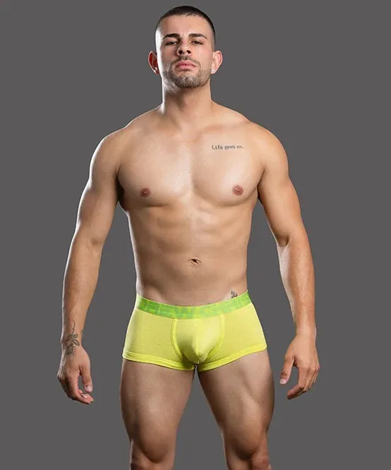 imgi_27_93752Boxer-Lime01