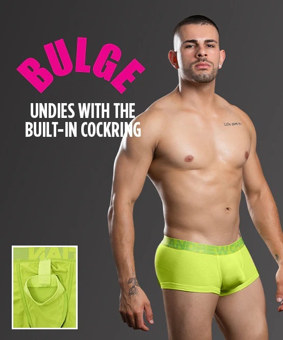 imgi_24_93752Boxer-Lime02_BULGE