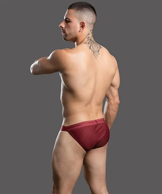 imgi_22_93693Brief05