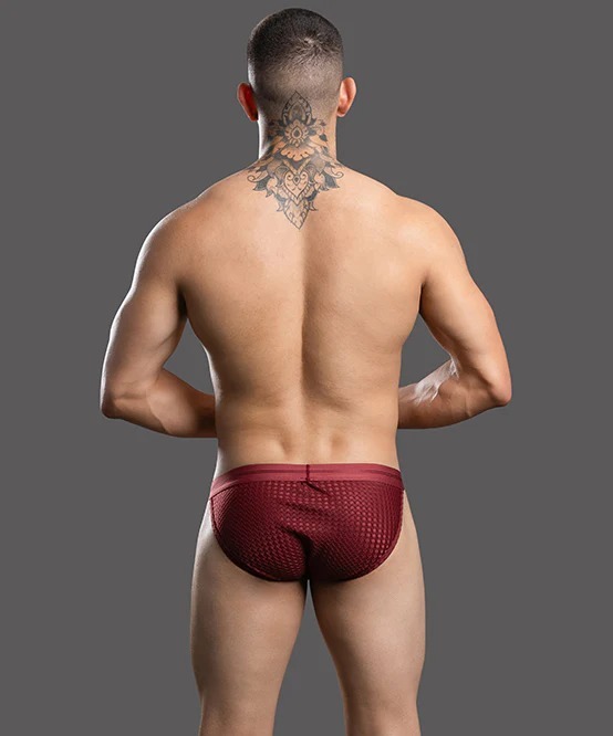 imgi_21_93693Brief04