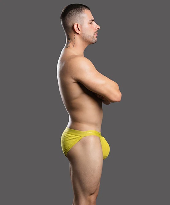 imgi_20_93576Brief03