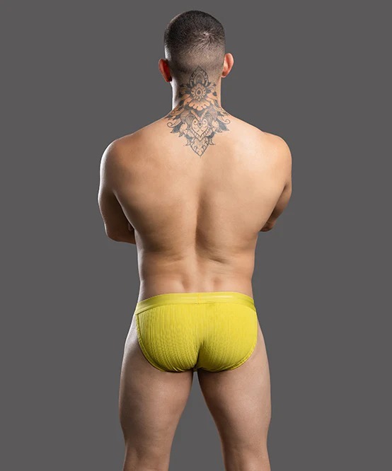 imgi_21_93576Brief04