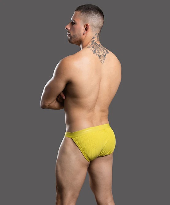 imgi_22_93576Brief05