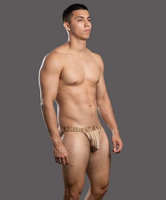 imgi_18_93656Brief02