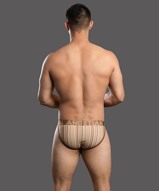 imgi_20_93656Brief04