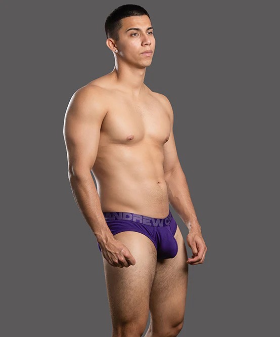 imgi_27_93751Brief-Purple02