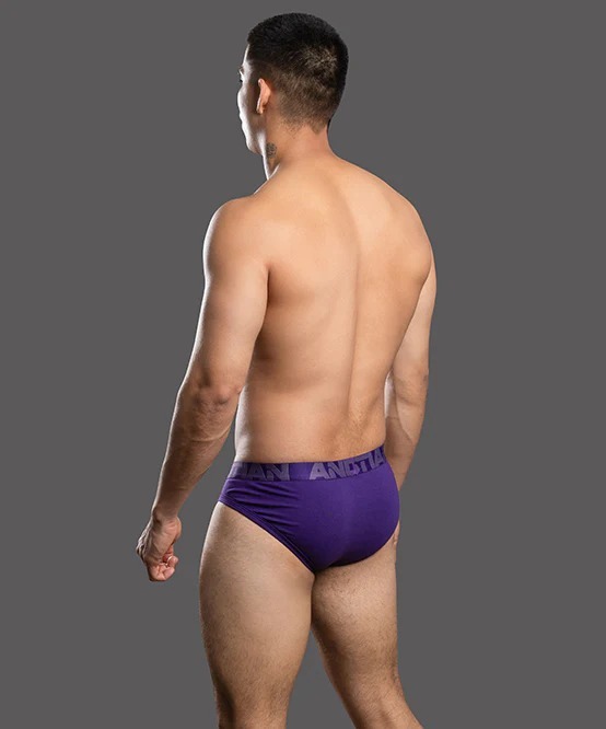 imgi_30_93751Brief-Purple05