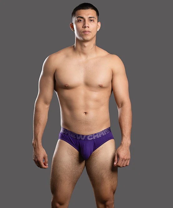 imgi_26_93751Brief-Purple01