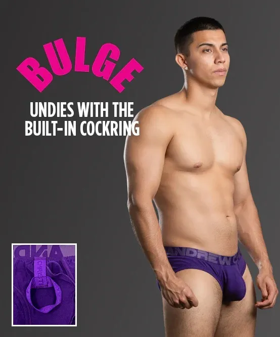 imgi_24_93751Brief-Purple02_BULGE