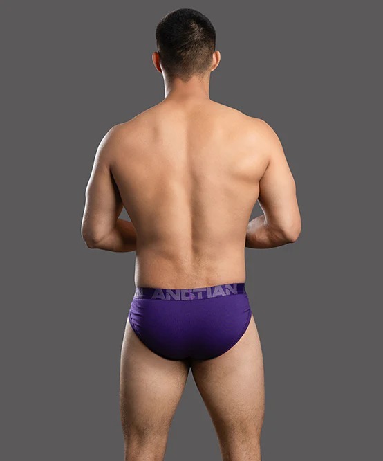 imgi_29_93751Brief-Purple04