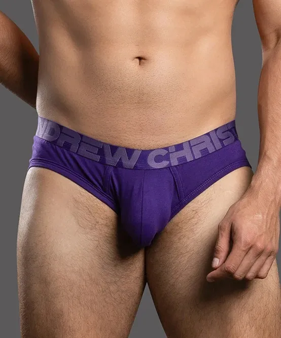 imgi_25_93751Brief-Purple06