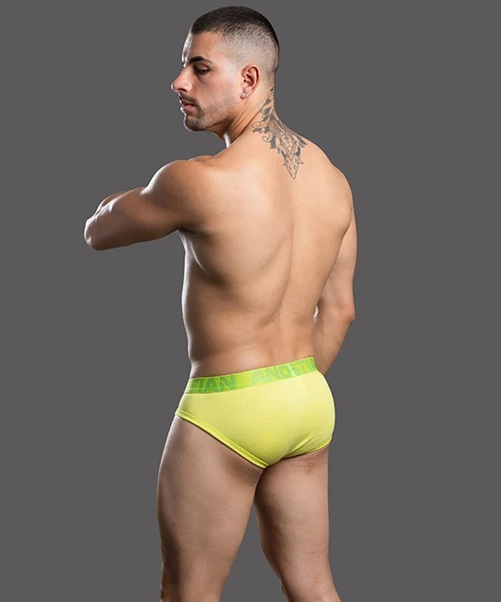 imgi_36_93751Brief-Lime05