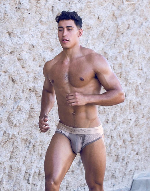 imgi_12_Boreas-brief-brown-1