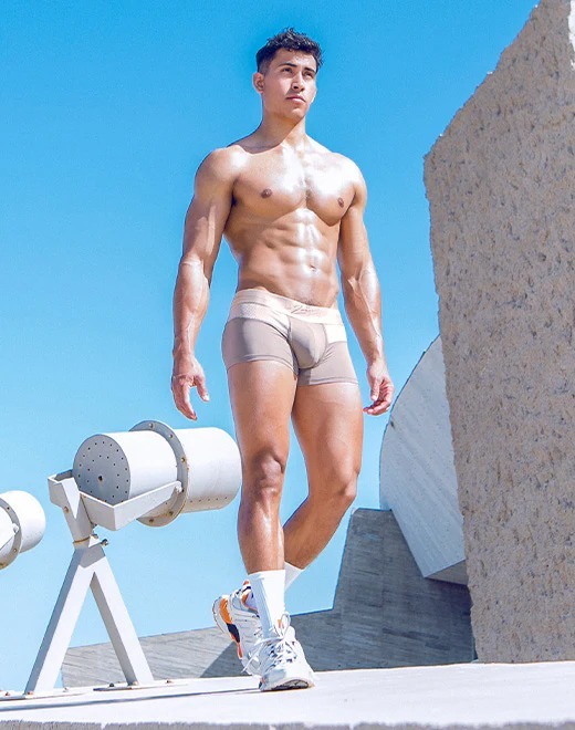 imgi_9_Boreas-trunk-brown-2