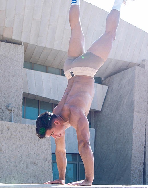 imgi_12_Boreas-trunk-brown-1