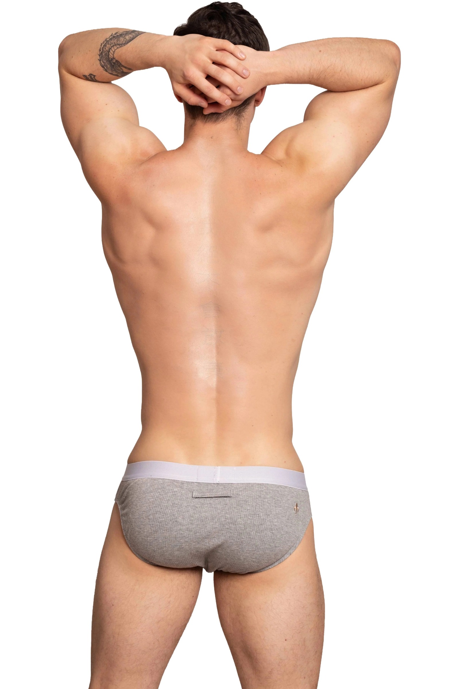 imgi_122_Passantbriefgreyback