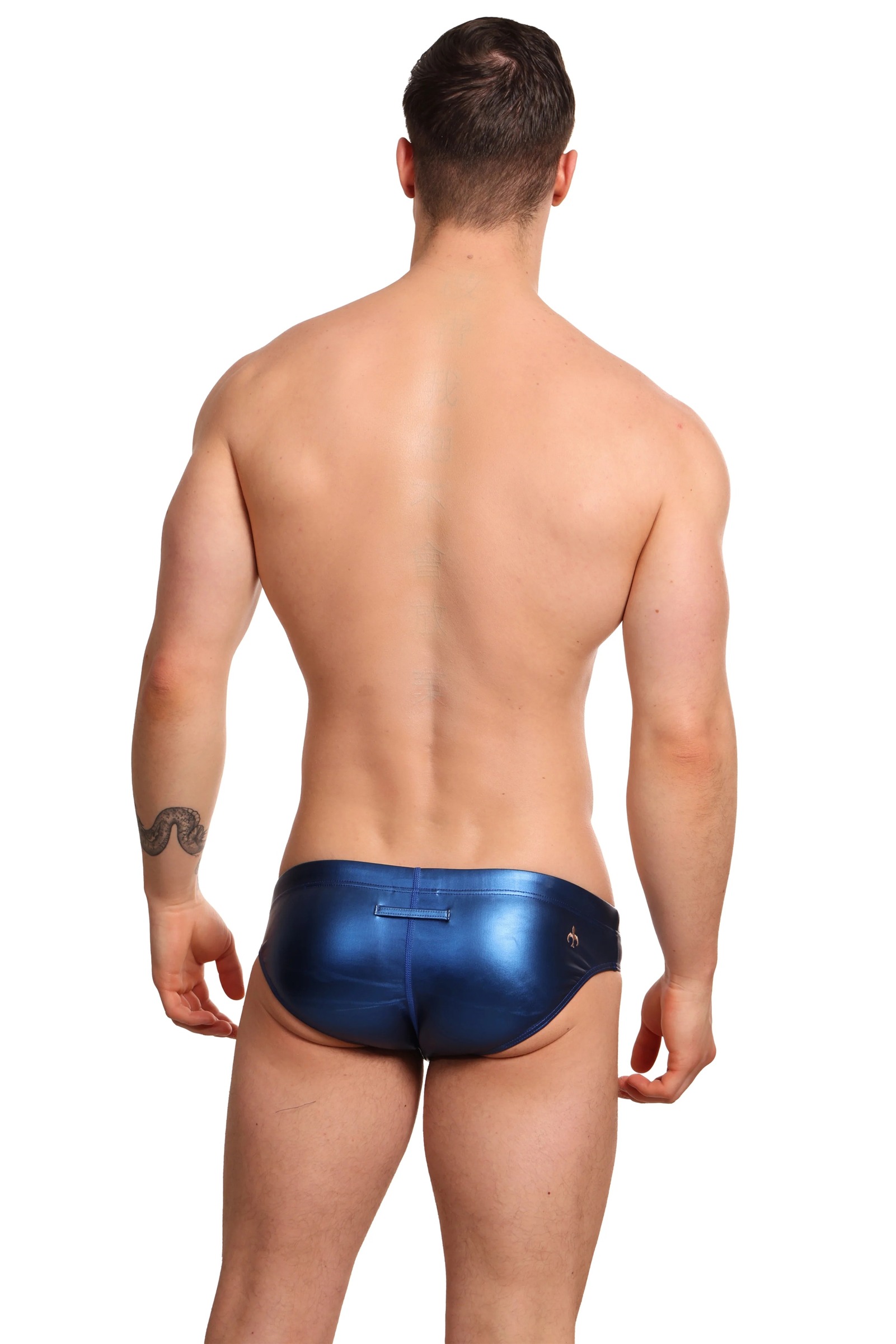 imgi_116_Aurora_metallic_blue_back