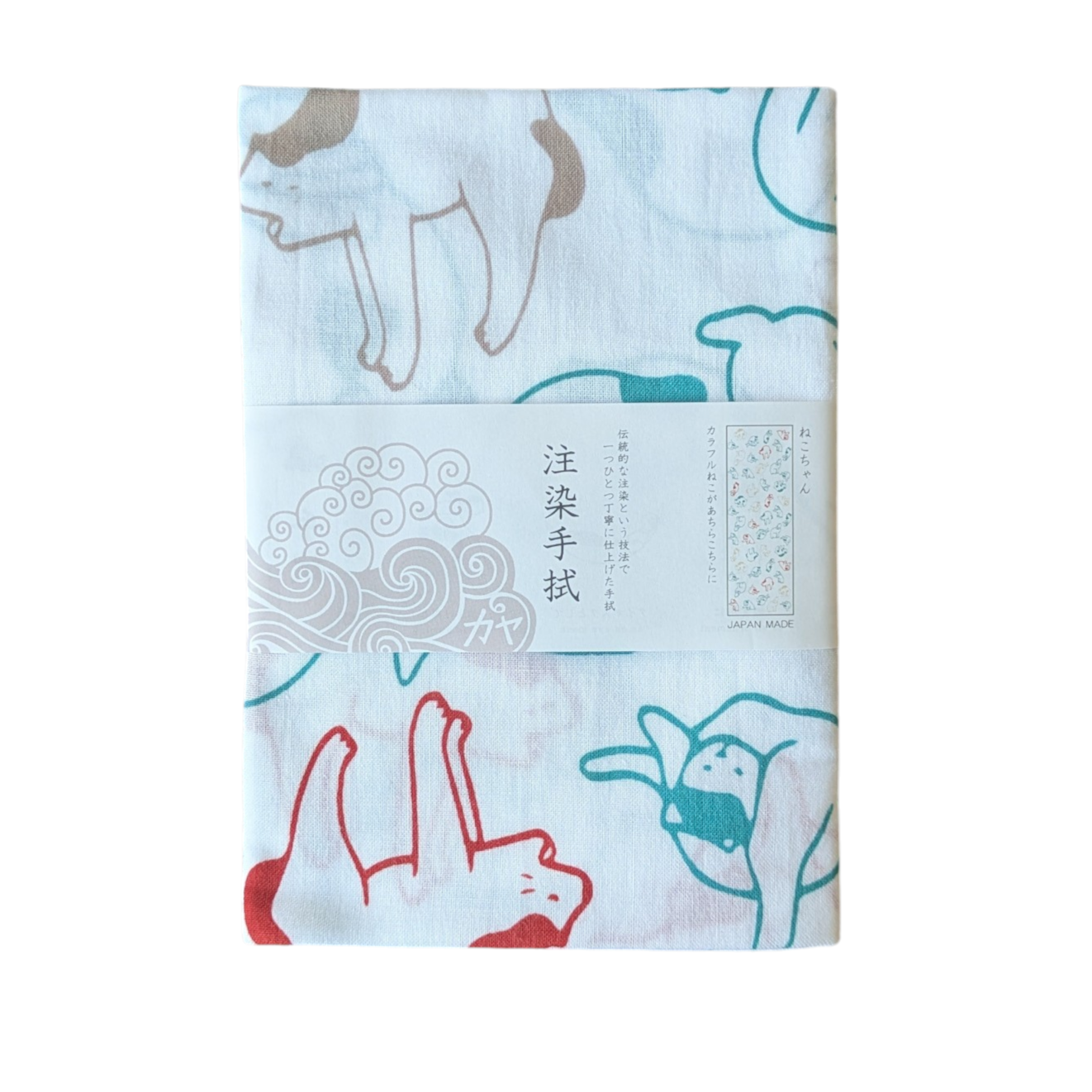 PXL_20260212_073950200.MP