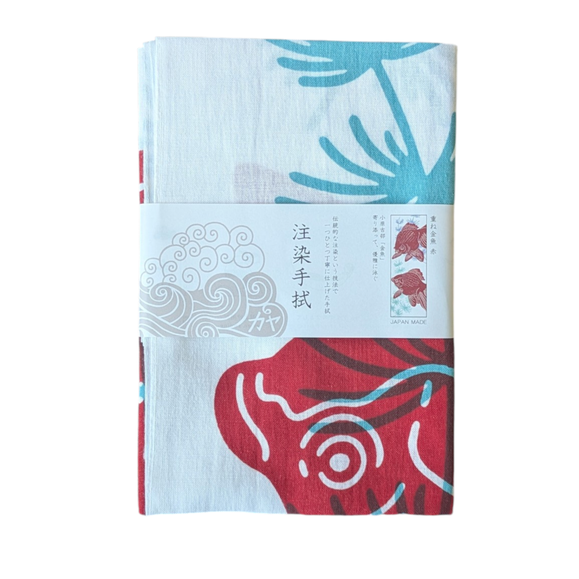 PXL_20260212_074029992.MP