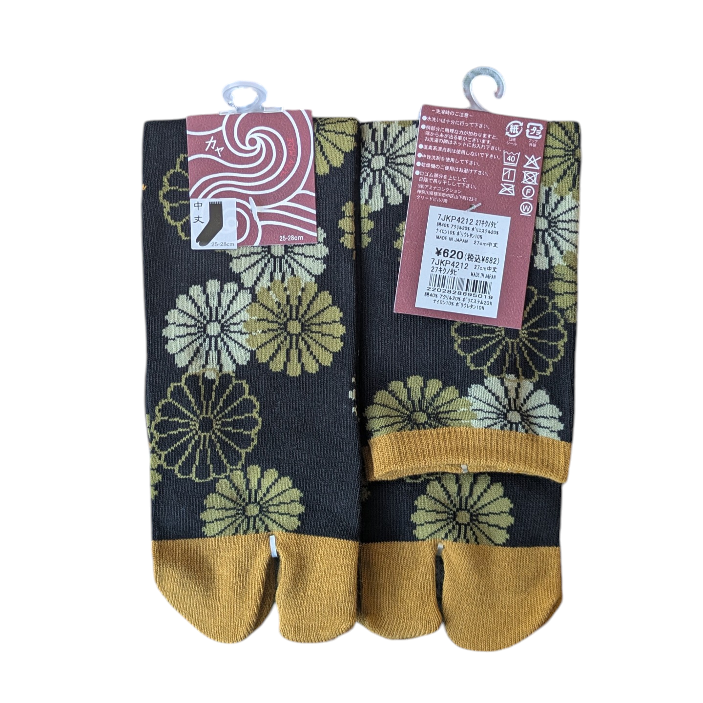 PXL_20260212_073708642.MP