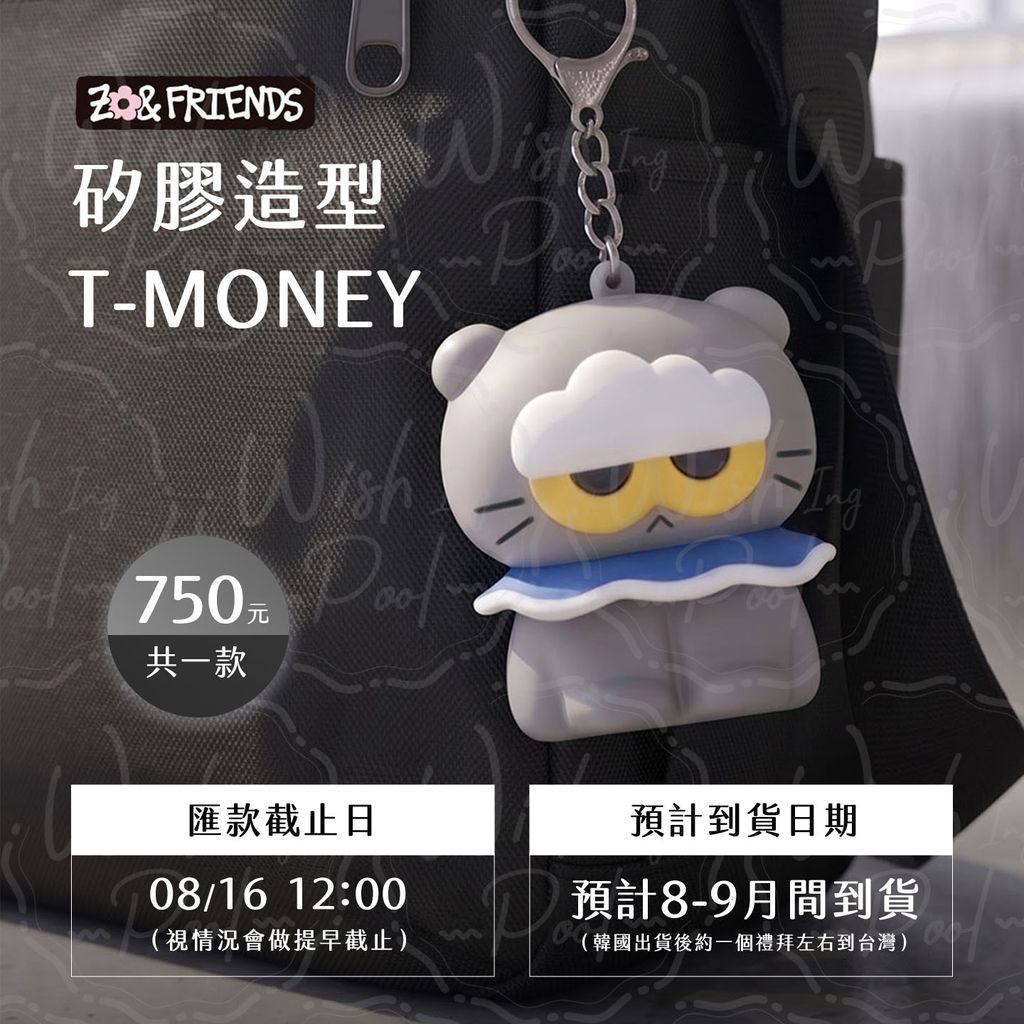 260811-zoa矽膠模型造型T-money官網-00