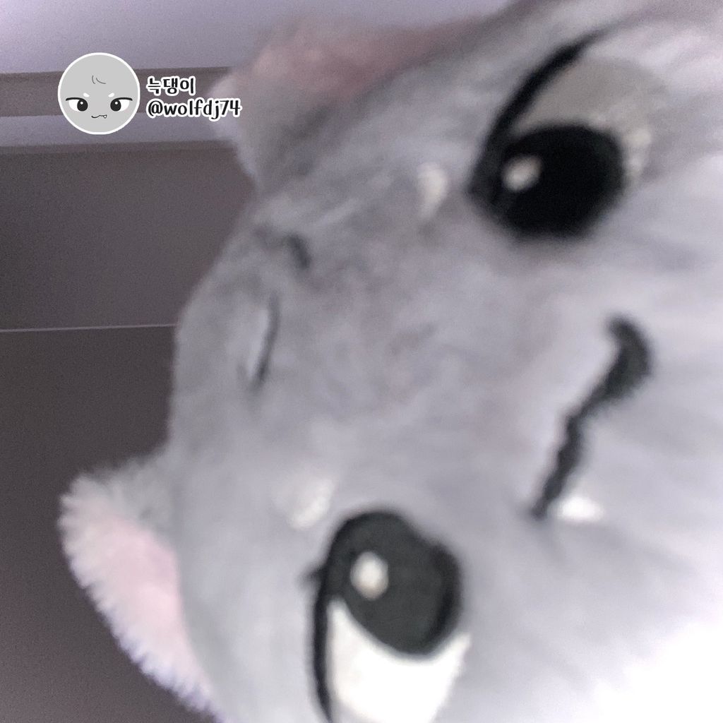 251104-尹斗俊10cm狼娃娃 代購-02