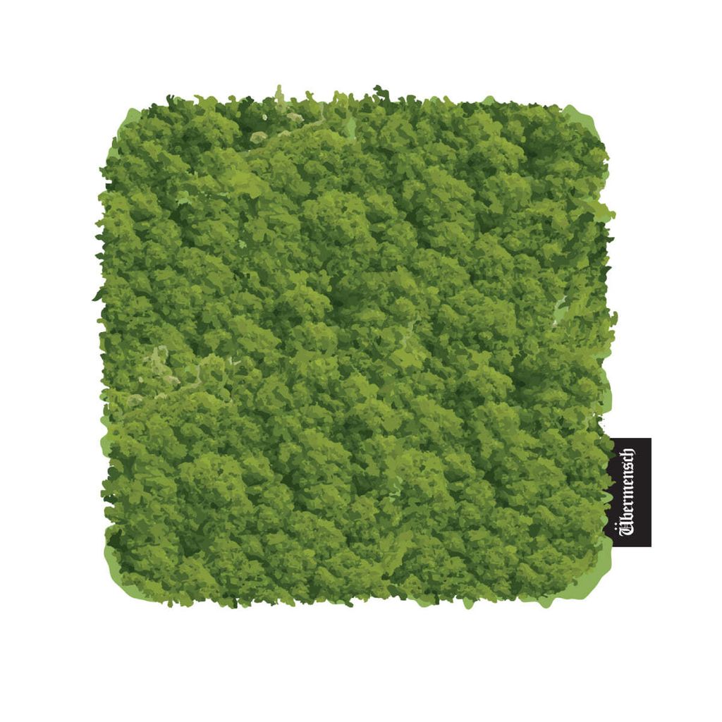 36a36d413fac217672d38b1d260b7bec