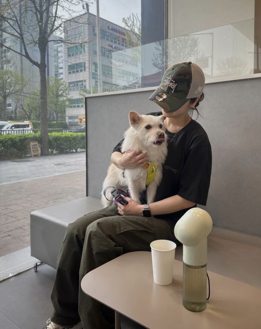 截圖 2025-04-29 下午3.54.59