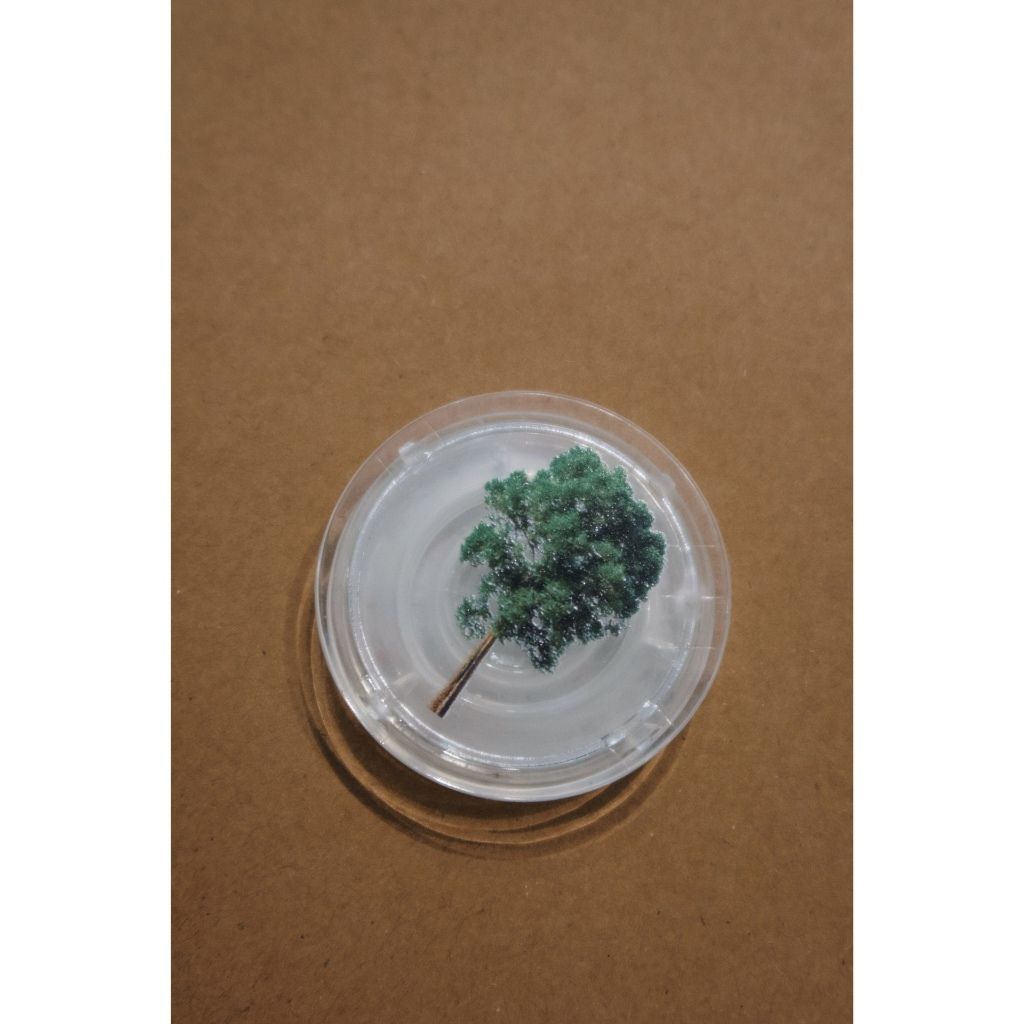 tw-11134207-81ztp-meb557xkq5tu34