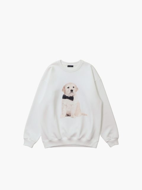 tw-11134207-81ztc-mi1kfs114kxyd1