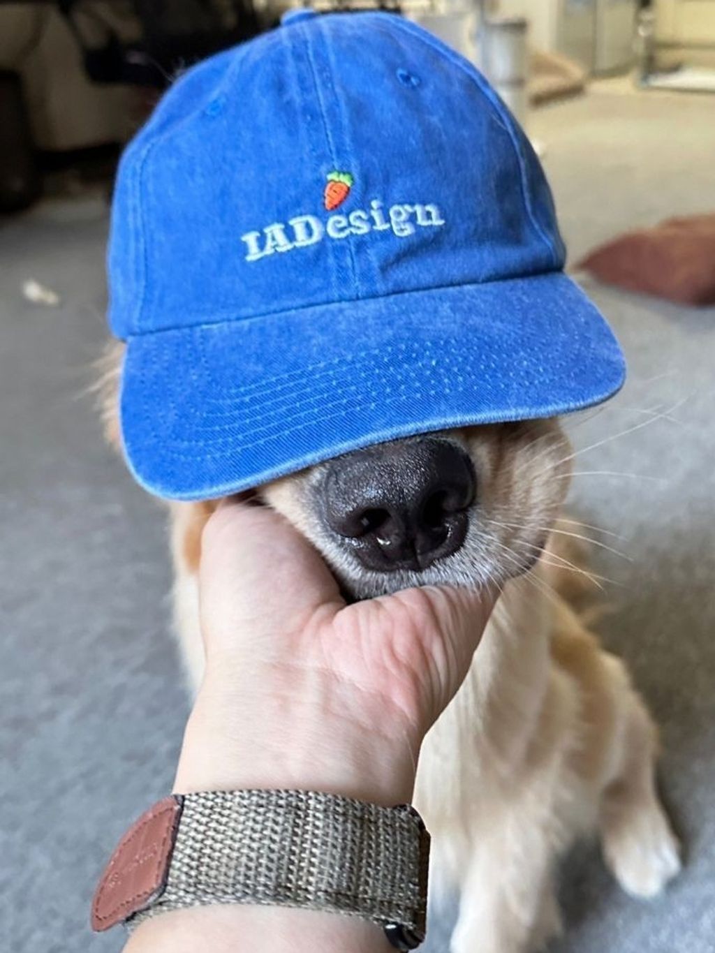 tw-11134207-7ra0j-mbc1d1y302yh45