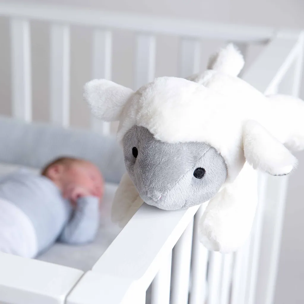 LIZ with sleeping baby.jpg