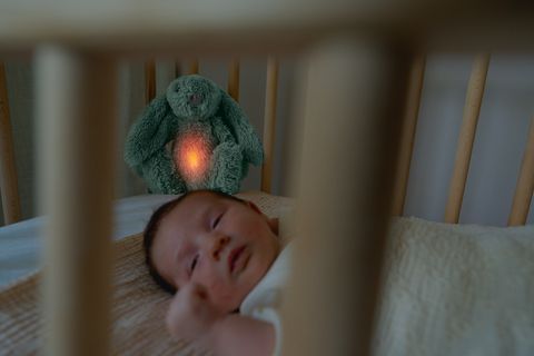 ro_06_cry-sensor_green_dsc08677_blauw_donker_lr