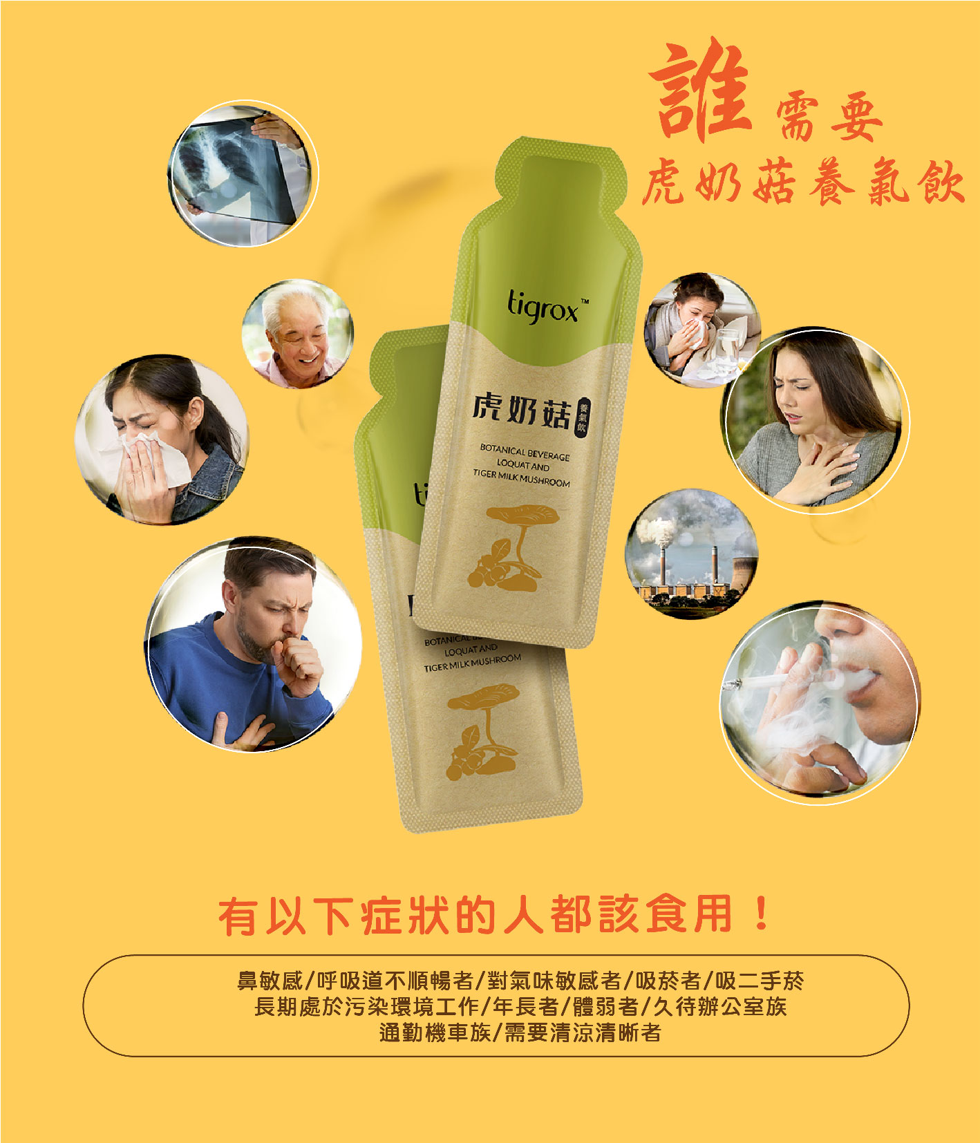 台湾虎奶菇电子宣传册 1-12.jpg