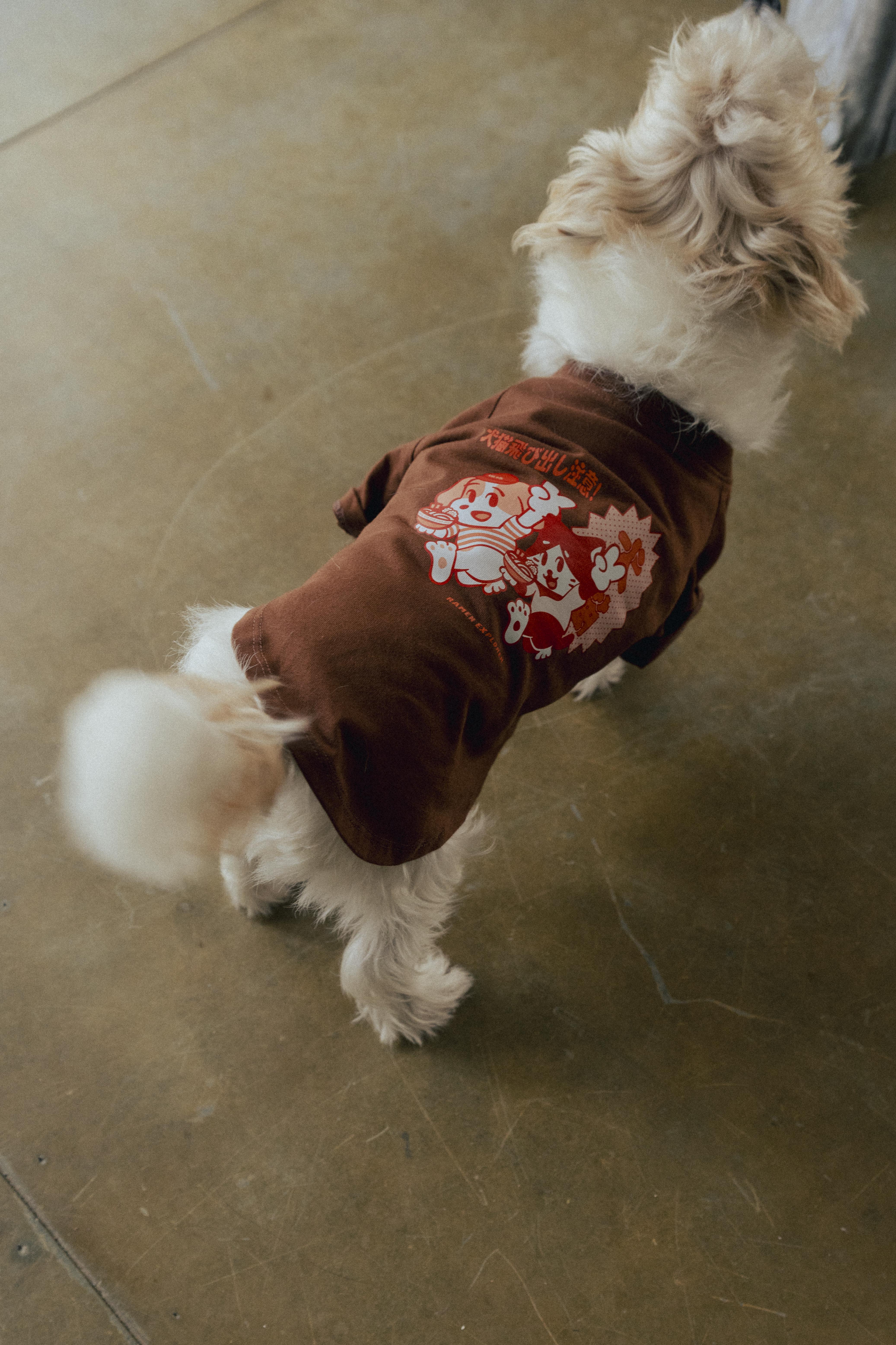Ramen Explorer Pets Series ( Sony )-022