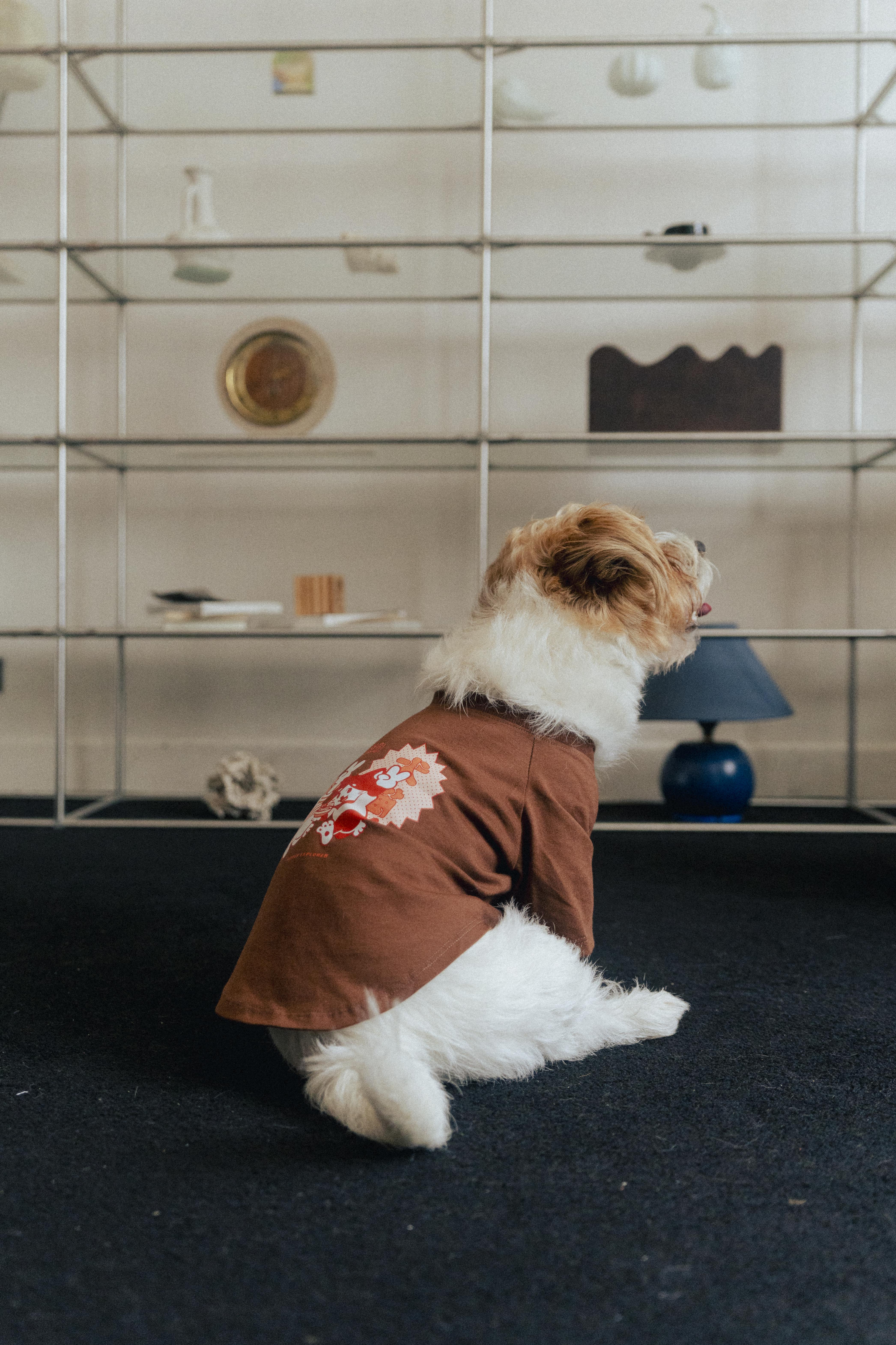 Ramen Explorer Pets Series ( Sony )-075
