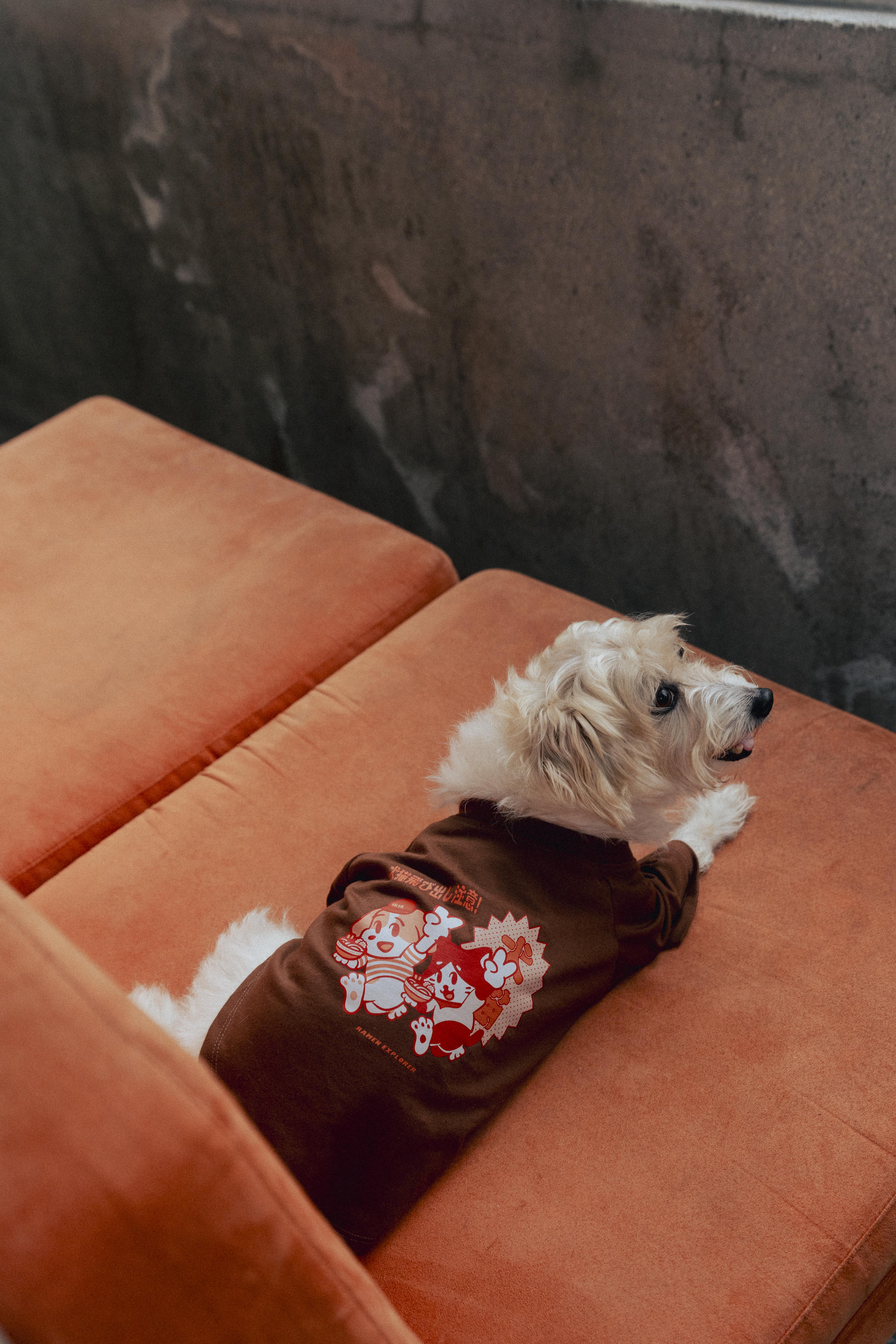 Ramen Explorer Pets Series ( Sony )-013