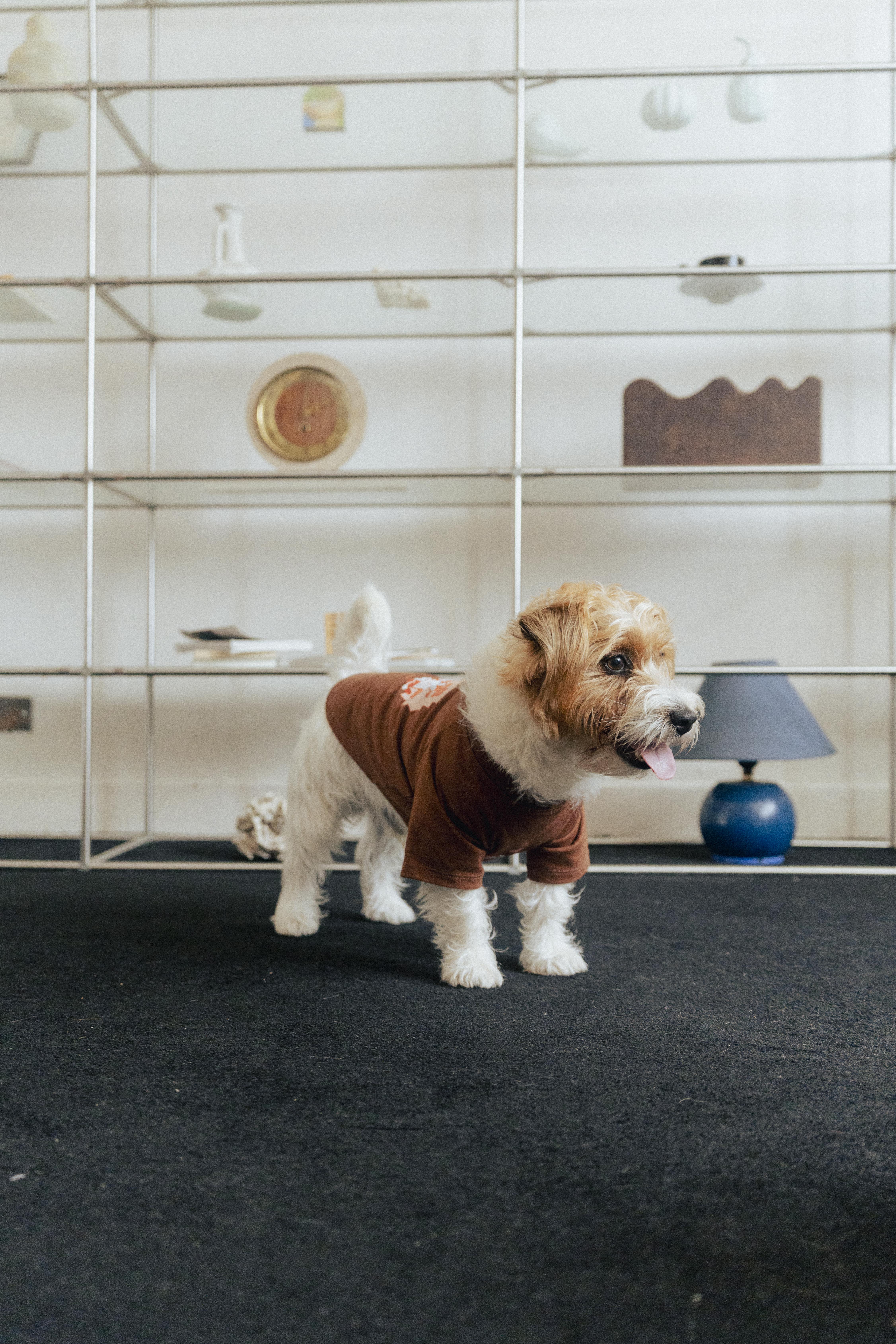 Ramen Explorer Pets Series ( Sony )-073