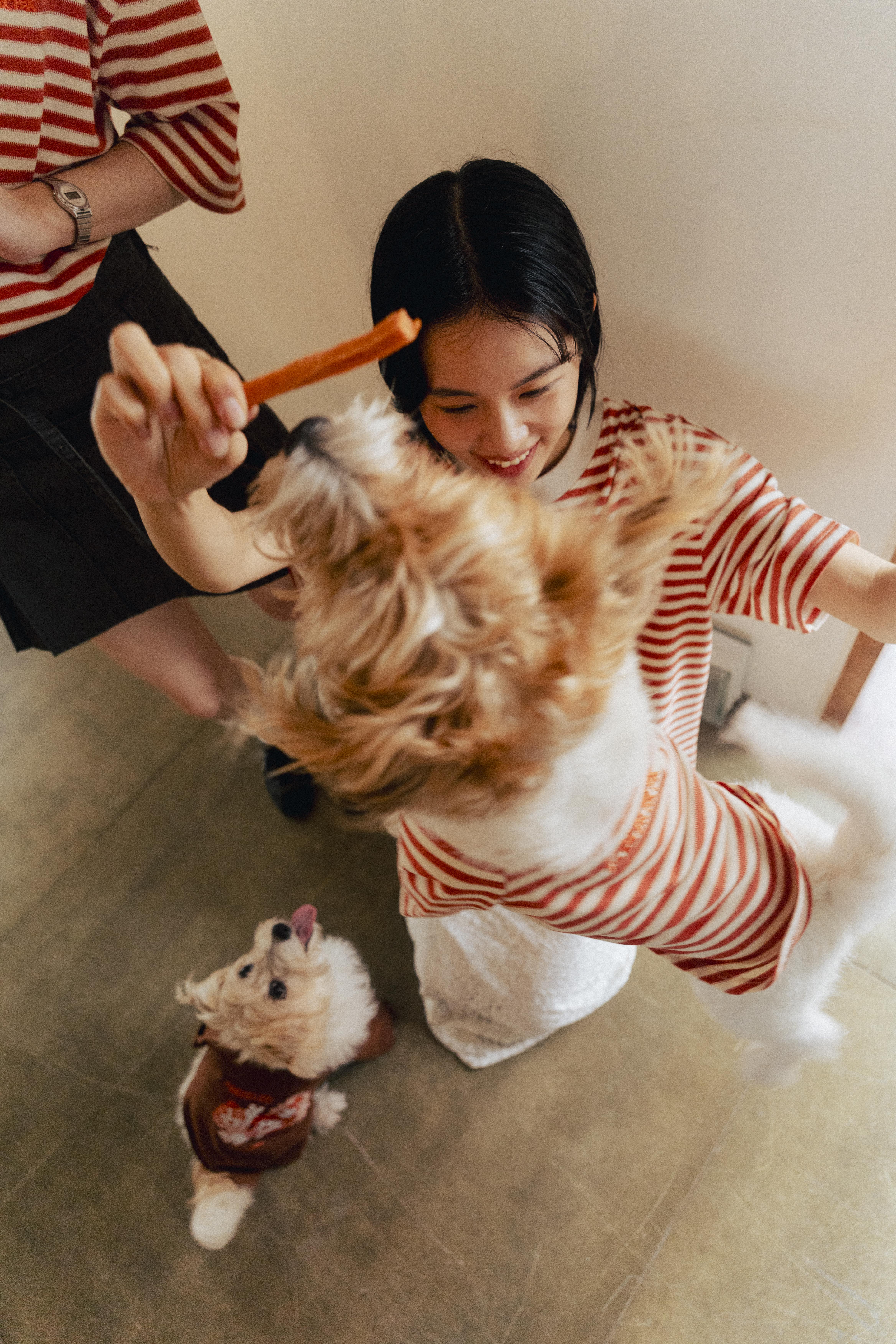 Ramen Explorer Pets Series ( Sony )-063