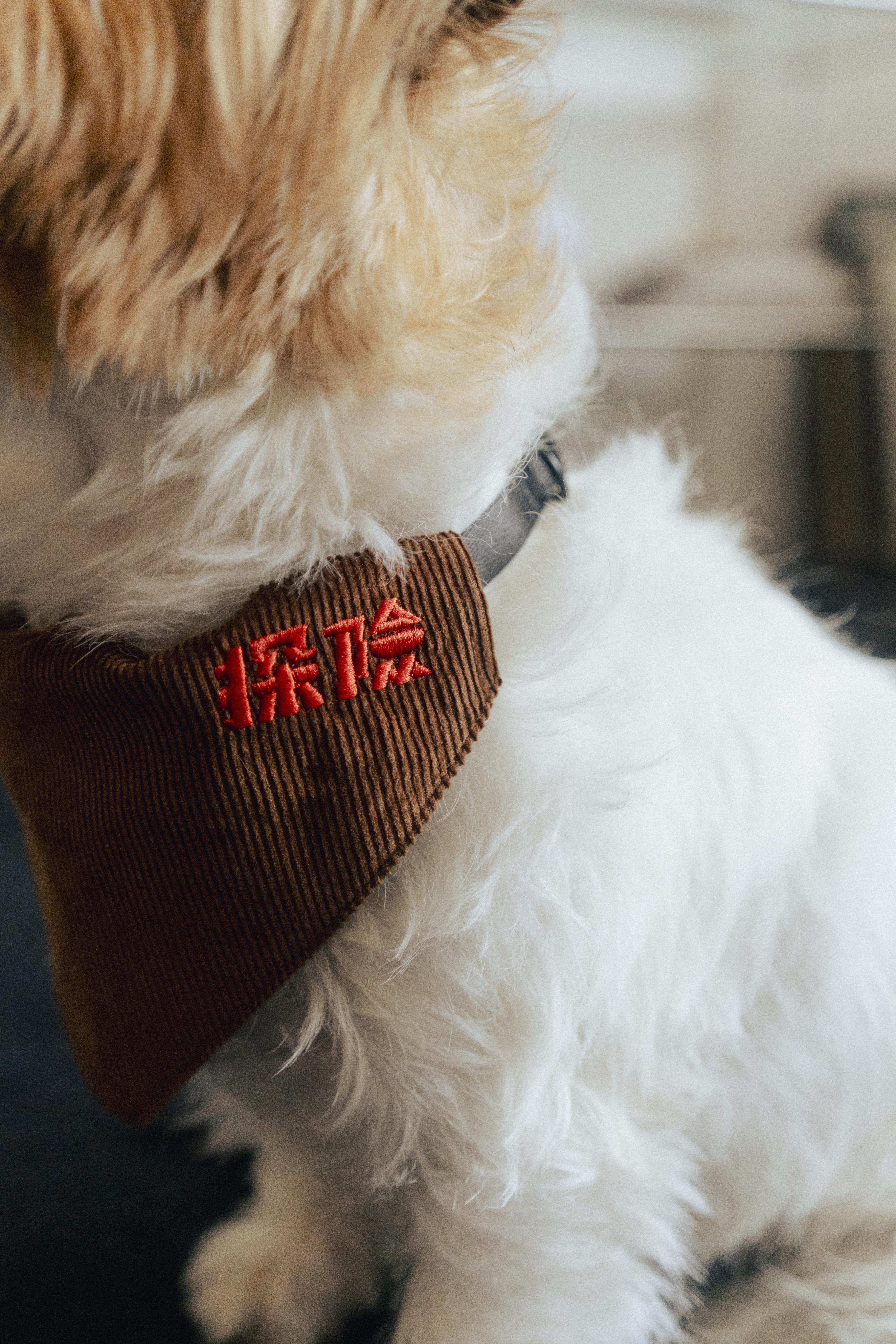 Ramen Explorer Pets Series ( Sony )-081