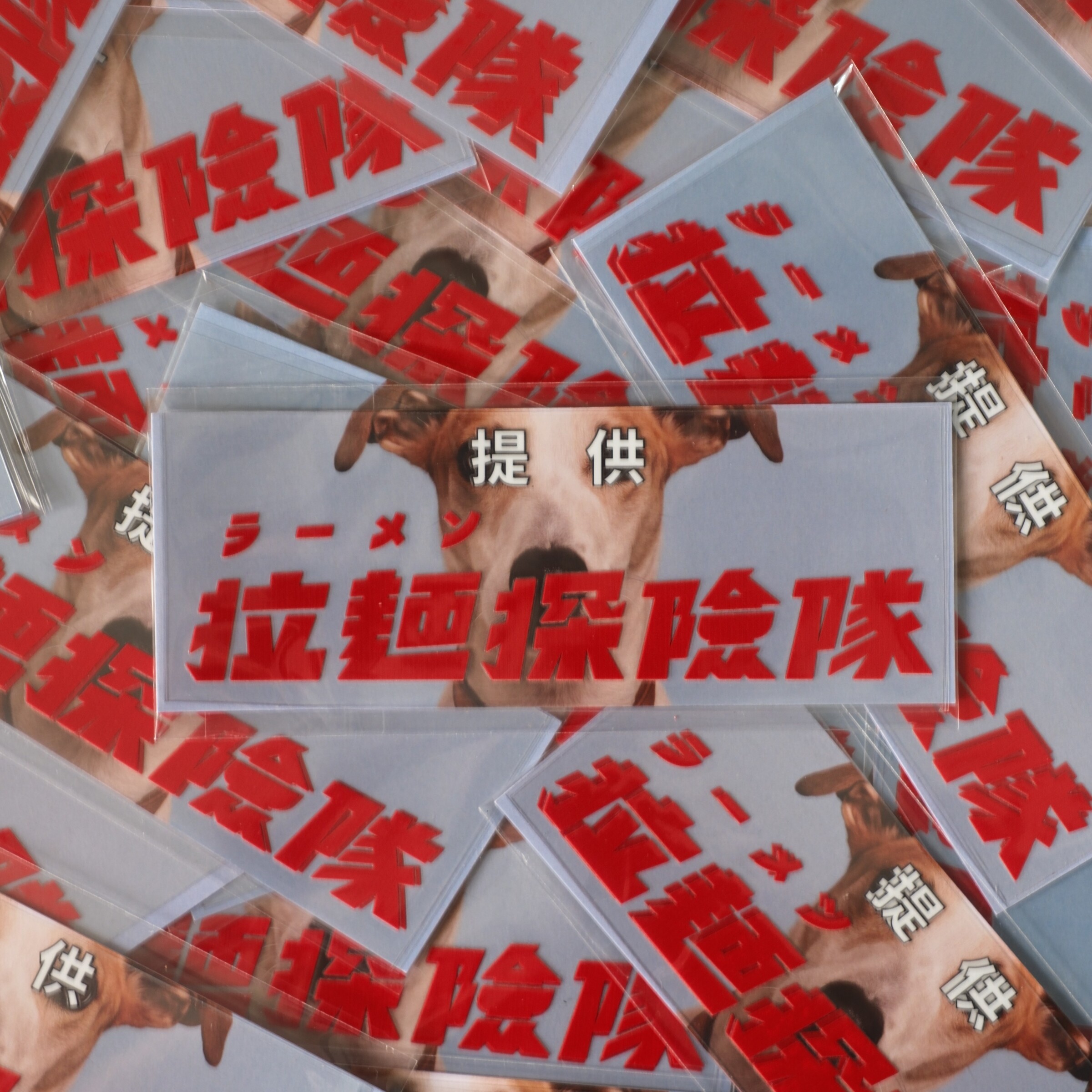 DSCF7874