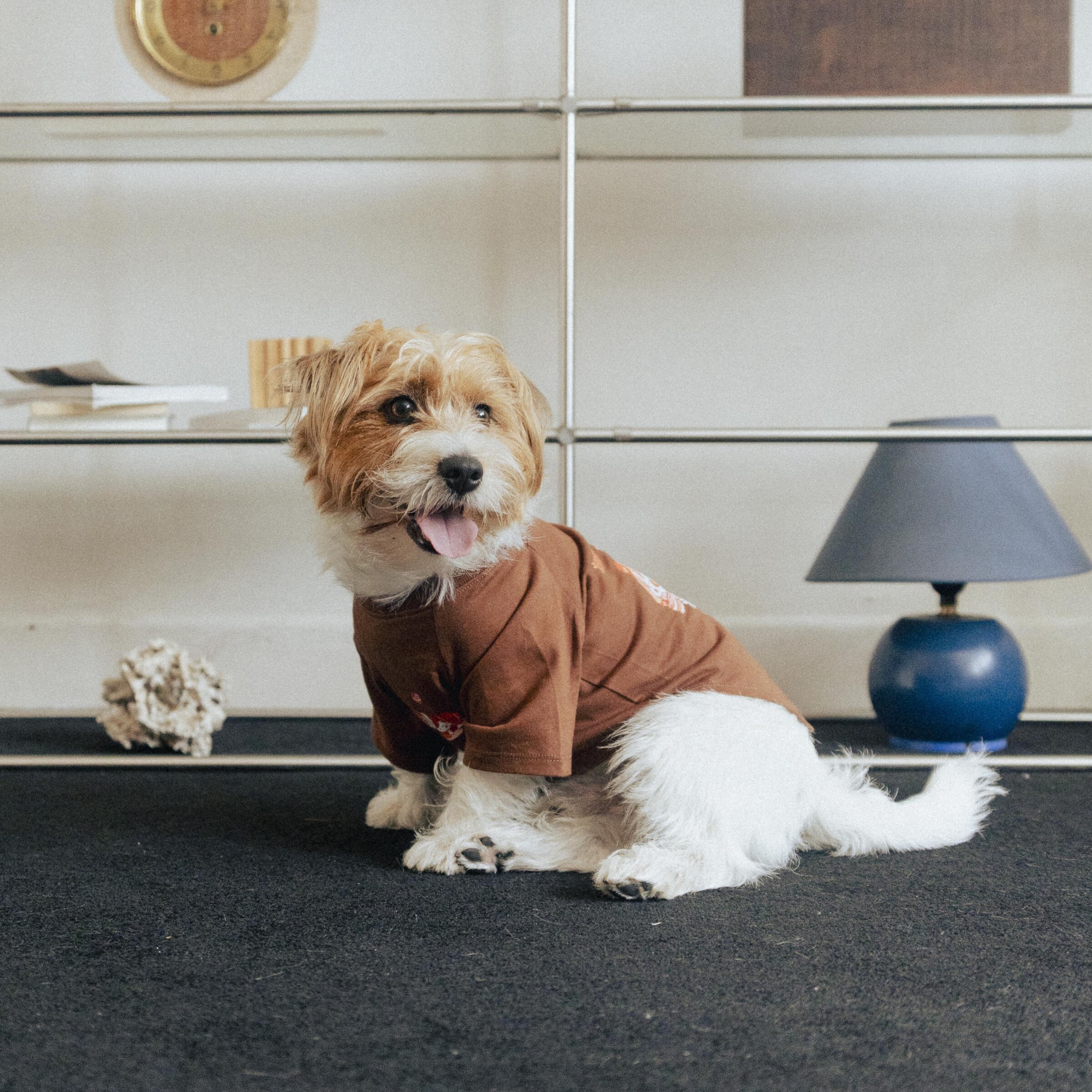 Ramen Explorer Pets Series ( Sony )-072