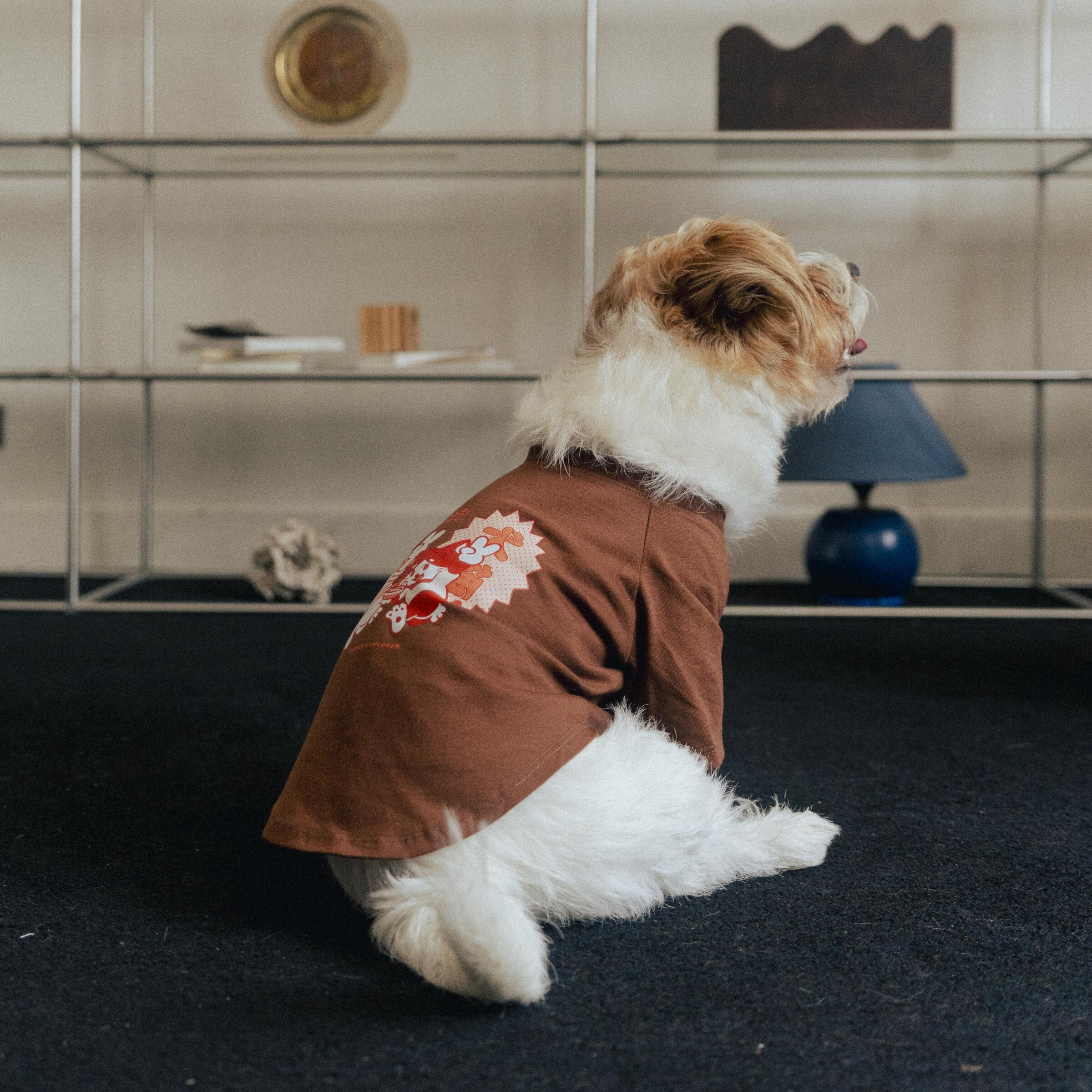 Ramen Explorer Pets Series ( Sony )-075